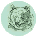 Population von B�ren