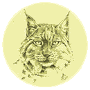 Population von Luchsen