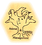 www.human-wildlife.info