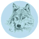 Population von W�lfen